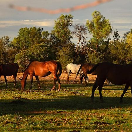 فيلا Beaconsfield Farm Hofmeyr المظهر الخارجي الصورة